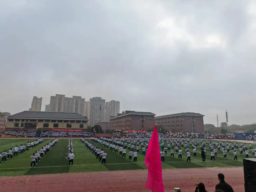 如何通过力量训练改善篮球运动员的速度和敏捷性?_1